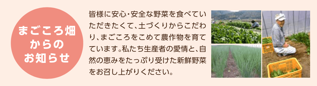 まごころ畑からのお知らせ